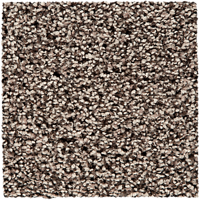 SmartStrand ColorMax Carpet in Twill